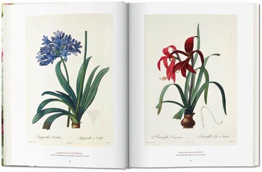 Pierre-Joseph Redouté. The book of flowers. Ediz. italiana, spagnola e portoghese - H. Walter Lack - 3