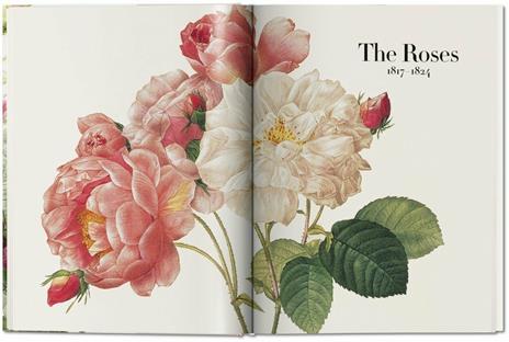 Pierre-Joseph Redouté. The book of flowers. Ediz. italiana, spagnola e portoghese - H. Walter Lack - 4
