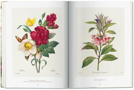 Pierre-Joseph Redouté. The book of flowers. Ediz. italiana, spagnola e portoghese - H. Walter Lack - 7