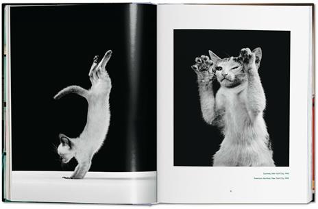 Walter Chandoha. Cats. Photographs 1942–2018. Ediz. inglese, francese e tedesca - Susan Michals - 3