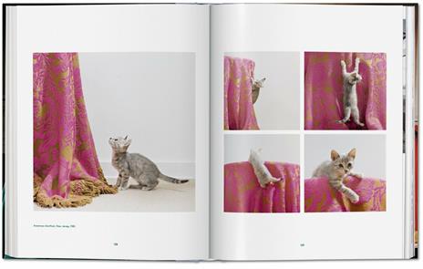 Walter Chandoha. Cats. Photographs 1942–2018. Ediz. inglese, francese e tedesca - Susan Michals - 4