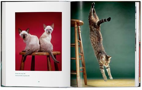 Walter Chandoha. Cats. Photographs 1942–2018. Ediz. inglese, francese e tedesca - Susan Michals - 5