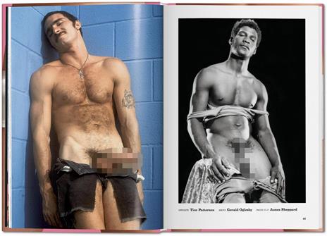 The big penis book. Ediz. inglese, francese e tedesca - Dian Hanson - 2