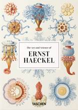 Libro The art and science of Ernst Haeckel. Ediz. inglese. 40th Anniversary Edition Rainer Willmann Julia Voss