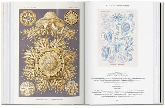 The art and science of Ernst Haeckel. 45th Ed. Ediz. inglese - Rainer Willmann,Julia Voss - 7