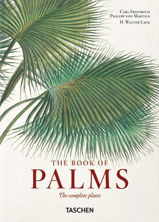 Martius. The book of palms. 45th Ed. Ediz. inglese, francese, tedesca - H. Walter Lack,Carl Friedrich Philipp Martius von - copertina
