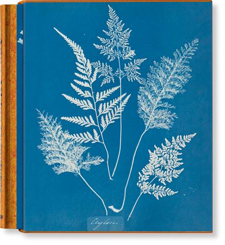 Anna Atkins. Cyanotypes. Ediz. inglese, francese e tedesca - copertina