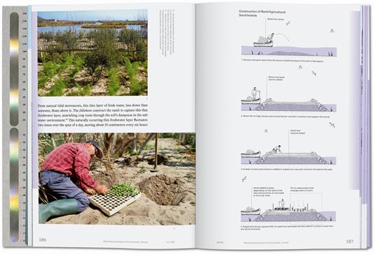 Julia Watson. Lo—TEK. Water. A field guide for TEKnology. Ediz. inglese - Julia Watson,Piera Wolf,Stephanie Specht - 2
