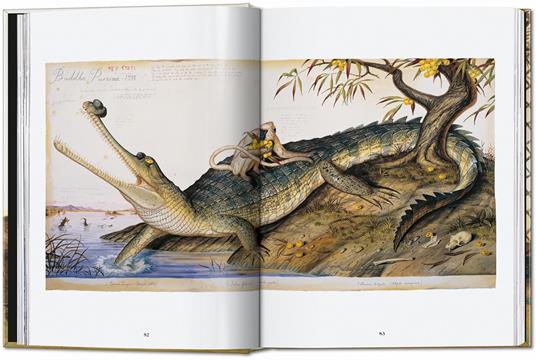 Walton Ford. 40th Ed. Ediz. inglese, francese, tedesca - Bill Buford - 4