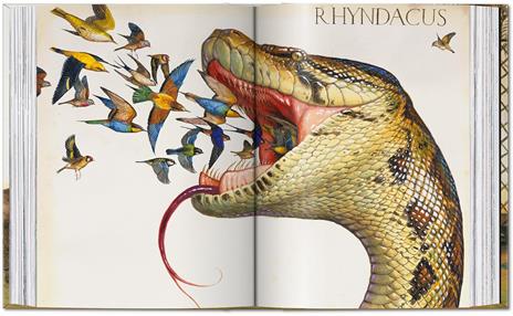 Walton Ford. 40th Ed. Ediz. inglese, francese, tedesca - Bill Buford - 6