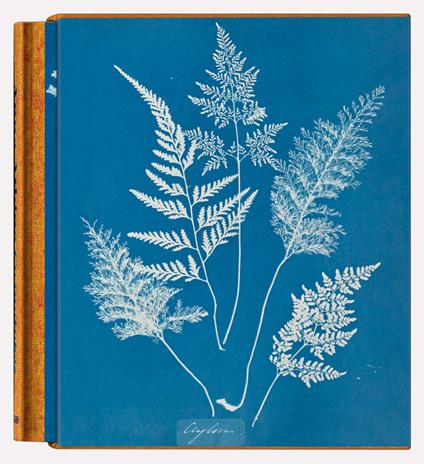 Anna Atkins. Cyanotypes. Ediz. inglese, francese e tedesca - copertina