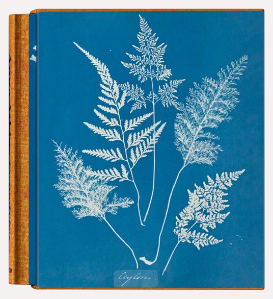 Anna Atkins. Cyanotypes. Ediz. inglese, francese e tedesca - copertina