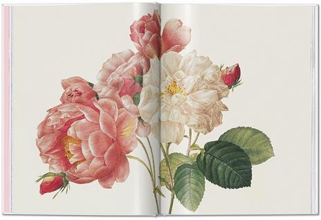 Redouté. Roses. Ediz. italiana, inglese e spagnola - 3