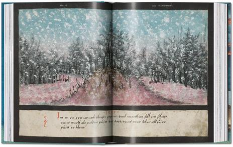 The book of miracles. 45th Ed. Ediz. inglese, francese e tedesca - Till-Holger Borchert,Joshua P. Waterman - 7