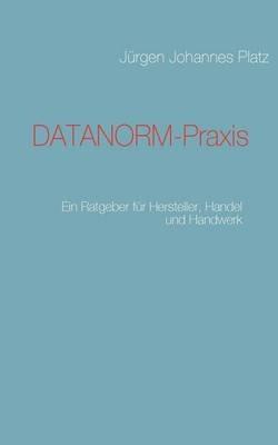 DATANORM-Praxis: Ein Ratgeber für Hersteller, Handel und Handwerk - Jürgen Johannes Platz - cover