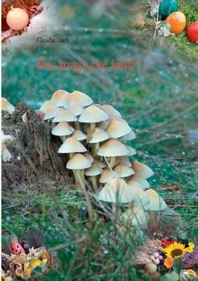 Das magische Jahr - Claudia Liath - cover