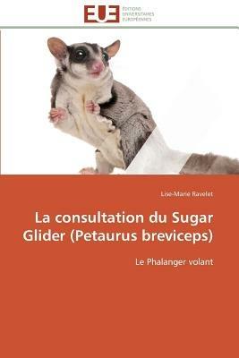 La Consultation Du Sugar Glider (Petaurus Breviceps) - Ravelet-L - cover