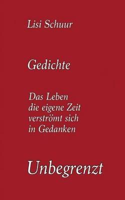 Unbegrenzt - Lisi Schuur - cover