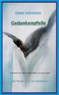 Gedankenpfeile - Dieter Achtnichts - cover