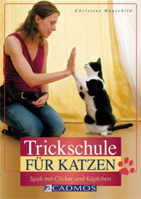 Trickschule für Katzen