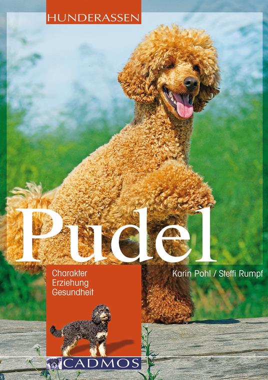 Pudel