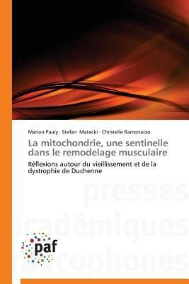 La Mitochondrie, Une Sentinelle Dans Le Remodelage Musculaire - Collectif - cover