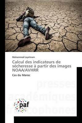 Calcul Des Indicateurs de Secheresse A Partir Des Images Noaa/Avhrr - Layelmam-M - cover