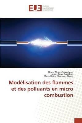 Modelisation Des Flammes Et Des Polluants En Micro Combustion - Sans Auteur - cover
