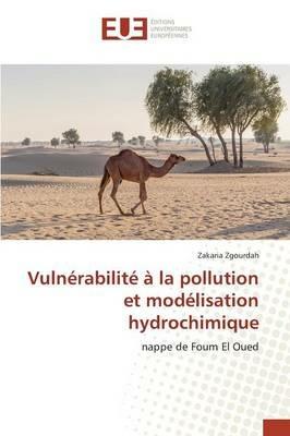 Vulnerabilite A La Pollution Et Modelisation Hydrochimique - Zgourdah-Z - cover