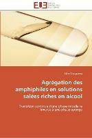 Agregation des amphiphiles en solutions salees riches en alcool - Bouguerra-N - cover