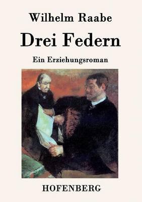 Drei Federn: Ein Erziehungsroman - Wilhelm Raabe - cover