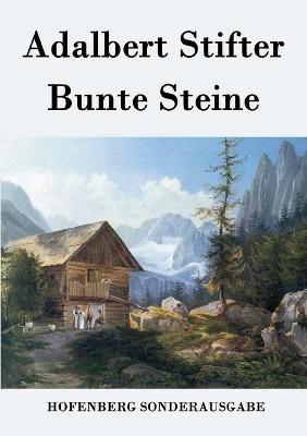 Bunte Steine - Adalbert Stifter - cover