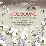 Mudbound – Die Tränen von Mississippi