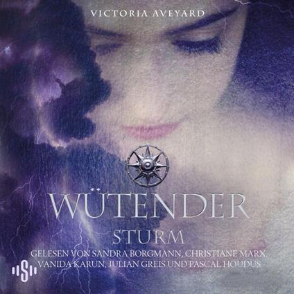 Wütender Sturm (Die Farben des Blutes 4)