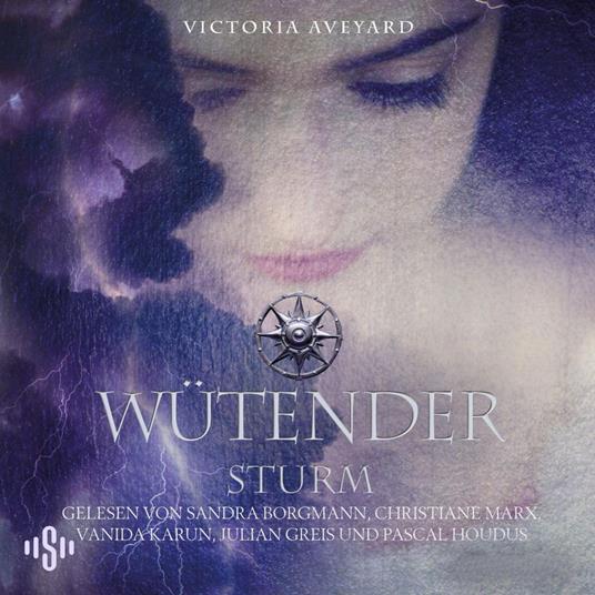 Wütender Sturm (Die Farben des Blutes 4)