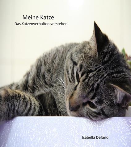 Meine Katze