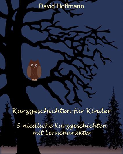 Kurzgeschichten für Kinder - David Hoffmann - ebook