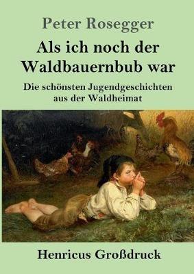 Als ich noch der Waldbauernbub war (Grossdruck): Die schoensten Jugendgeschichten aus der Waldheimat - Peter Rosegger - cover