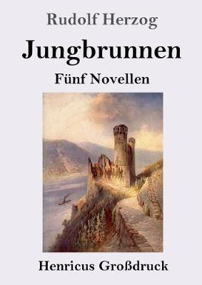 Jungbrunnen (Grossdruck): Funf Novellen - Rudolf Herzog - cover