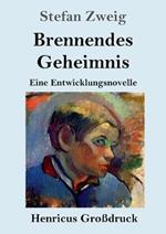 Brennendes Geheimnis (Grossdruck): Eine Entwicklungsnovelle