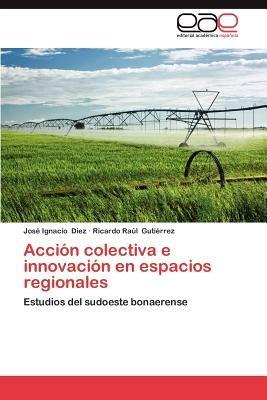 Accion Colectiva E Innovacion En Espacios Regionales - Jos Ignacio Diez,Ricardo Ra Guti Rrez,Jose Ignacio Diez - cover