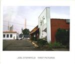 Joel Sternfeld: First Pictures