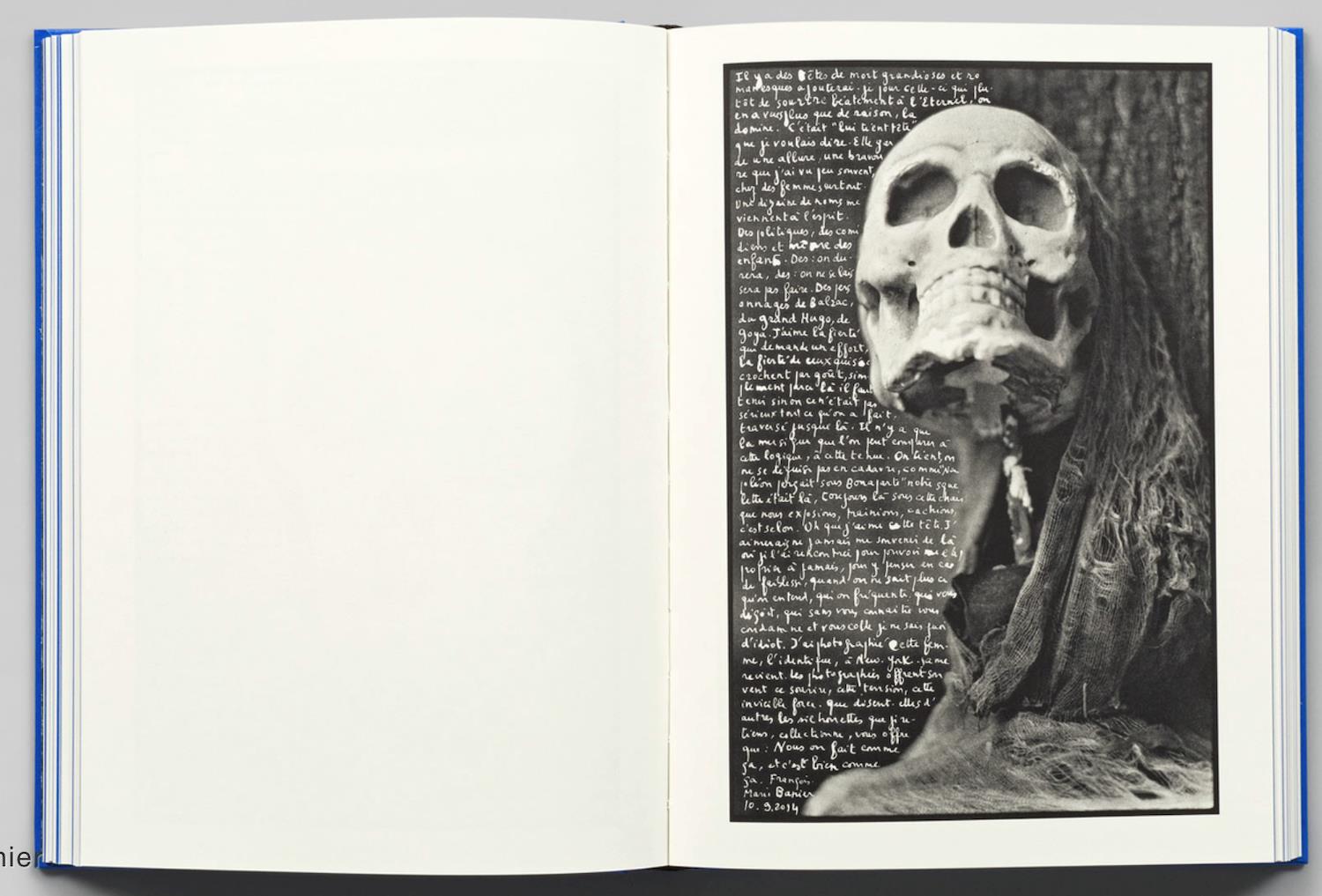 Francois-Marie Banier: Imprudences