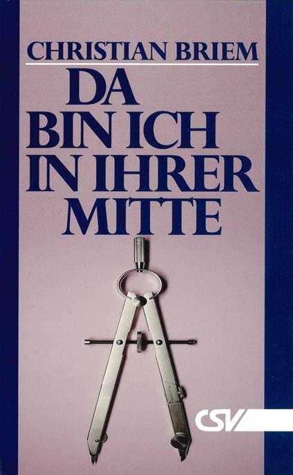 Da bin ich in ihrer Mitte - Christian Briem - ebook