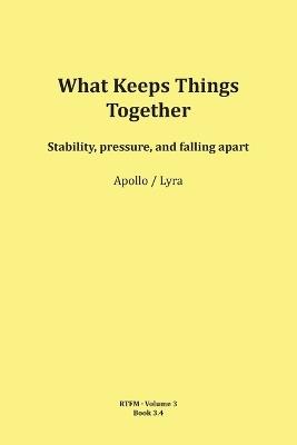 What Keeps Things Together - Mario Schipflinger - cover