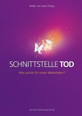 Schnittstelle Tod: Was spricht für unser Weiterleben? - cover