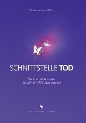 Schnittstelle Tod: Wo stehen wir nach 40 Jahren NTE-Forschung? - cover