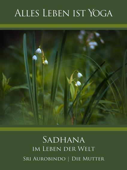 Sadhana im Leben der Welt