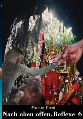 Nach oben offen. Reflexe 6: Tagebuchnotizen - Moritz Pirol - cover