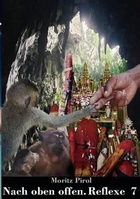 Nach oben offen. Reflexe 7: Tagebuchnotizen - Moritz Pirol - cover